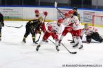 Photo hockey match Rouen - Briançon  le 08/11/2024