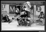 Photo hockey match Rouen - Briançon  le 28/03/2008