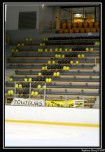 Photo hockey match Rouen - Briançon  le 29/03/2008