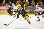Photo hockey match Strasbourg  - Briançon  le 14/02/2014