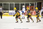 Photo hockey match Strasbourg II - Courchevel-Méribel-Pralognan le 22/02/2014
