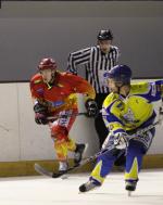 Photo hockey match Toulon - Orléans le 10/04/2010