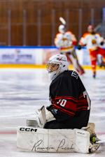 Photo hockey match Toulouse-Blagnac - Orléans le 08/03/2025