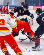Photo hockey match Toulouse-Blagnac - Orléans le 08/03/2025