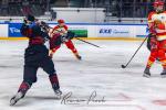 Photo hockey match Toulouse-Blagnac - Orléans le 08/03/2025