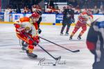 Photo hockey match Toulouse-Blagnac - Orléans le 08/03/2025