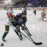 Photo hockey match Tours / Féminine - Cergy-Pontoise / Féminin le 05/11/2022