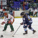 Photo hockey match Tours / Féminine - Cergy-Pontoise / Féminin le 05/11/2022