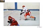 Photo hockey match Valence - Amnéville le 10/01/2009