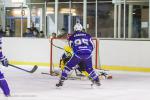 Photo hockey match Viry-Châtillon - Avignon le 22/02/2014