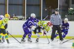 Photo hockey match Viry-Châtillon - Avignon le 22/02/2014