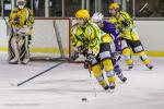 Photo hockey match Viry-Châtillon - Avignon le 22/02/2014
