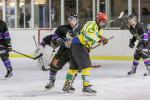 Photo hockey match Viry-Châtillon - Dammarie-les-Lys le 01/02/2014