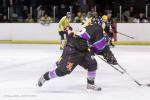 Photo hockey match Viry-Châtillon - Dammarie-les-Lys le 01/02/2014