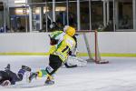 Photo hockey match Viry-Châtillon - Dammarie-les-Lys le 01/02/2014