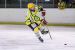 Photo hockey match Viry-Châtillon - Dijon II le 25/01/2014