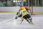 Photo hockey match Viry-Châtillon - Orléans le 30/11/2013