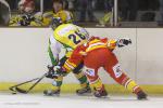 Photo hockey match Viry-Châtillon - Orléans le 30/11/2013