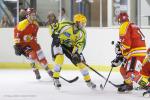 Photo hockey match Viry-Châtillon - Orléans le 30/11/2013