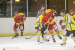 Photo hockey match Viry-Châtillon - Orléans le 30/11/2013
