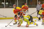 Photo hockey match Viry-Châtillon - Orléans le 30/11/2013