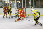 Photo hockey match Viry-Châtillon - Orléans le 30/11/2013