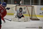 Photo hockey reportage  D3 : Wasquehal se prépare pour le carré final 