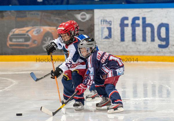 Photo hockey reportage Šatan coule la France à Grenoble