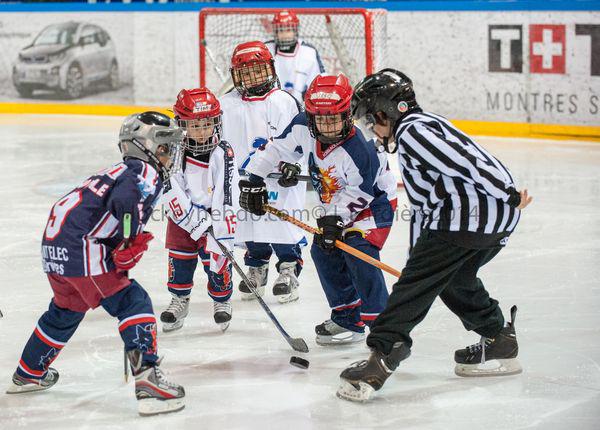 Photo hockey reportage Šatan coule la France à Grenoble