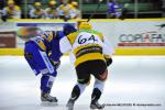 Photo hockey reportage Amical et agréable