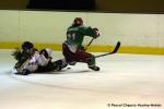Photo hockey reportage Amical féminin : Cergy - High School Aspen Leafs