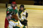 Photo hockey reportage Amical féminin : Cergy - High School Aspen Leafs