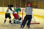 Photo hockey reportage Amical féminin : Cergy - High School Aspen Leafs