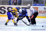Photo hockey reportage Amicaux : Les Ducs trônent en Suisse