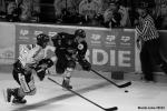 Photo hockey reportage Amicaux : Rouen s'impose à Amiens