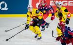 Photo hockey reportage Berne s'impose logiquement à Pole Sud