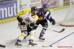 Photo hockey reportage Carré final Espoirs : les 1/2 en images