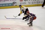 Photo hockey reportage Carré final Espoirs : les Finales en images