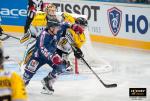 Photo hockey reportage CDF 16 Laurent Lardière