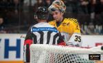 Photo hockey reportage CDF 16 Laurent Lardière