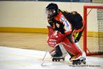 Photo hockey reportage CDF Roller : L'exploit n'était pas loin