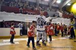 Photo hockey reportage CDF Roller : Les Tigres régalent