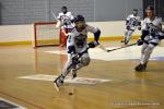 Photo hockey reportage CDF Roller : Les Tigres régalent