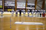 Photo hockey reportage CDF Roller : Les Tigres régalent