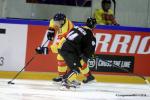 Photo hockey reportage CHL : Finir en beauté