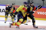 Photo hockey reportage CHL : Finir en beauté