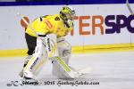 Photo hockey reportage CHL : Litvinov supérieur collectivement