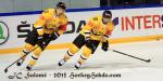 Photo hockey reportage CHL : Litvinov supérieur collectivement
