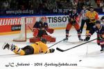 Photo hockey reportage CHL : Litvinov supérieur collectivement