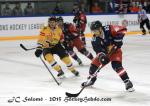 Photo hockey reportage CHL : Litvinov supérieur collectivement